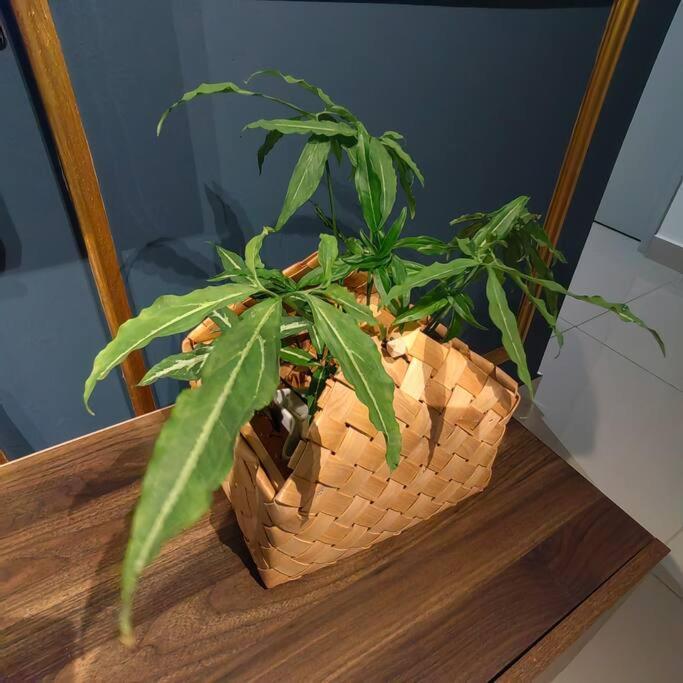 Alocasia Geniehome 3Br Free Wifi @ Utropolis Shah Alam Ngoại thất bức ảnh